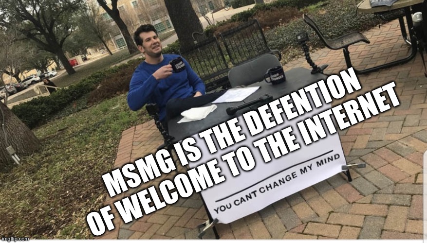 You cant change my mind | MSMG IS THE DEFENTION OF WELCOME TO THE INTERNET | image tagged in you cant change my mind | made w/ Imgflip meme maker