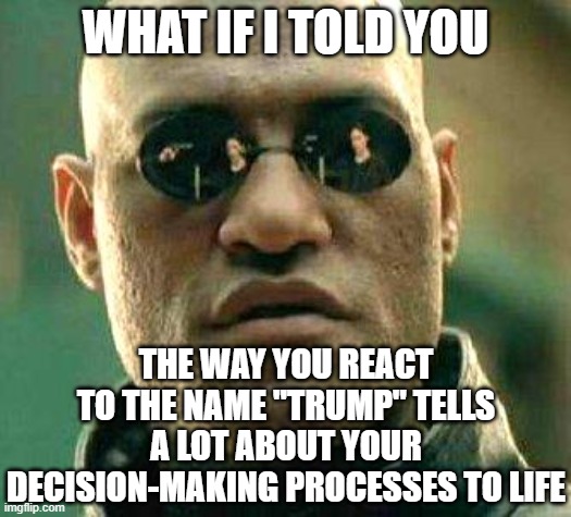 What if i told you | WHAT IF I TOLD YOU; THE WAY YOU REACT TO THE NAME "TRUMP" TELLS A LOT ABOUT YOUR DECISION-MAKING PROCESSES TO LIFE | image tagged in what if i told you | made w/ Imgflip meme maker