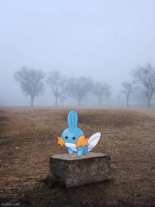 Foggy day in Montana.  | image tagged in photography,foghorn leghorn,montana,mudkip | made w/ Imgflip meme maker