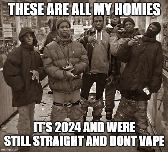 All My Homies Hate | THESE ARE ALL MY HOMIES; IT'S 2024 AND WERE STILL STRAIGHT AND DONT VAPE | image tagged in all my homies hate | made w/ Imgflip meme maker