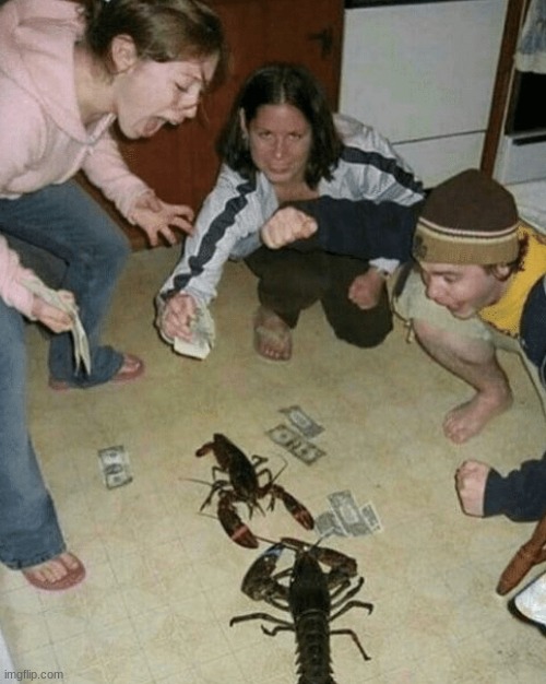 *rock lobster begins playing* | image tagged in lobster fight | made w/ Imgflip meme maker