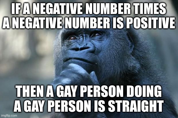 Deep Thoughts | IF A NEGATIVE NUMBER TIMES A NEGATIVE NUMBER IS POSITIVE; THEN A GAY PERSON DOING A GAY PERSON IS STRAIGHT | image tagged in deep thoughts | made w/ Imgflip meme maker