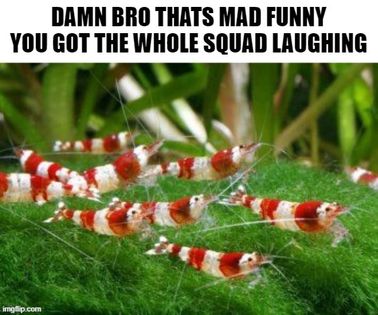 image tagged in shrompler army | made w/ Imgflip meme maker