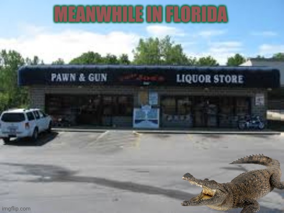 MEANWHILE IN FLORIDA | image tagged in florida man,lore,alligators | made w/ Imgflip meme maker