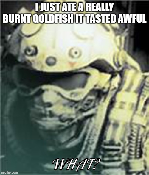 what? | I JUST ATE A REALLY BURNT GOLDFISH IT TASTED AWFUL | image tagged in what | made w/ Imgflip meme maker