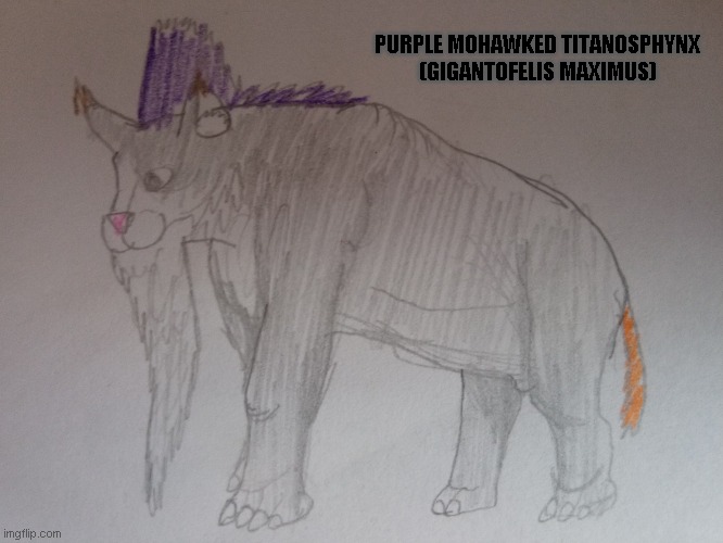 Purple Mohawked Titanosphynx | PURPLE MOHAWKED TITANOSPHYNX 
(GIGANTOFELIS MAXIMUS) | image tagged in evolution,cats,future | made w/ Imgflip meme maker