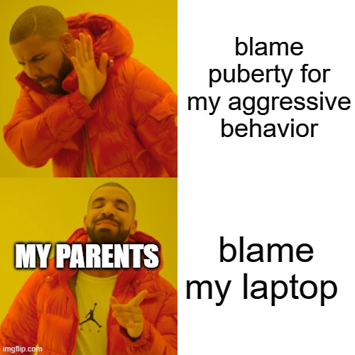 yes. | blame puberty for my aggressive behavior; blame my laptop; MY PARENTS | image tagged in memes,drake hotline bling | made w/ Imgflip meme maker