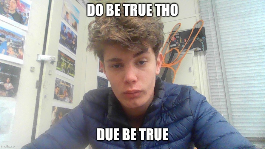 DO BE TRUE THO DUE BE TRUE | image tagged in riplos with the jawline | made w/ Imgflip meme maker