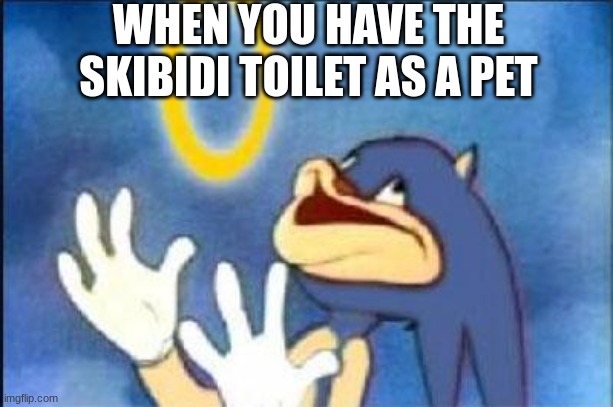 Skibidi toilet | WHEN YOU HAVE THE SKIBIDI TOILET AS A PET | image tagged in sonic derp | made w/ Imgflip meme maker
