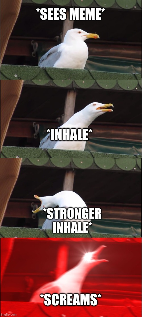 Inhaling Seagull Meme | *SEES MEME* *INHALE* *STRONGER INHALE* *SCREAMS* | image tagged in memes,inhaling seagull | made w/ Imgflip meme maker