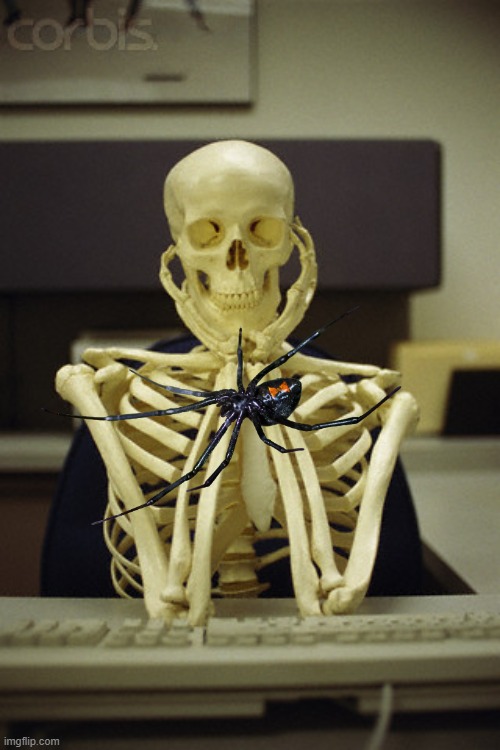 skelton | image tagged in skelton | made w/ Imgflip meme maker