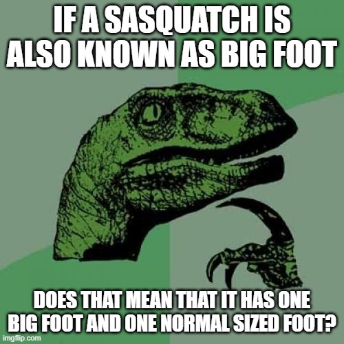 hm | IF A SASQUATCH IS ALSO KNOWN AS BIG FOOT; DOES THAT MEAN THAT IT HAS ONE BIG FOOT AND ONE NORMAL SIZED FOOT? | image tagged in memes,philosoraptor,idk | made w/ Imgflip meme maker