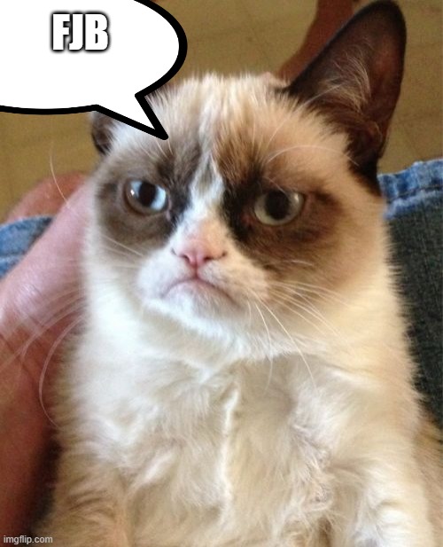 Even the CAT | FJB | image tagged in memes,grumpy cat,nwo,government corruption | made w/ Imgflip meme maker