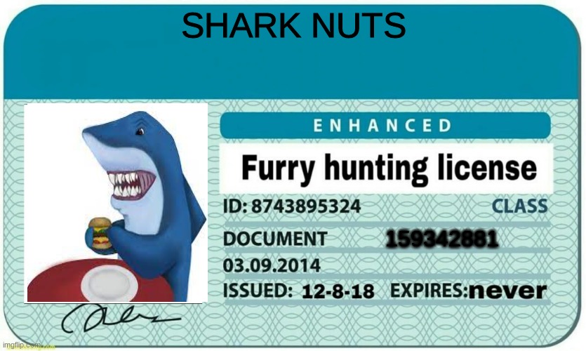 my license | SHARK NUTS; 159342881 | image tagged in furry hunting license | made w/ Imgflip meme maker