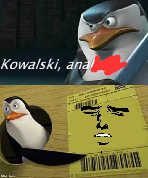 Kowalski Analysis | image tagged in kowalski analysis | made w/ Imgflip meme maker