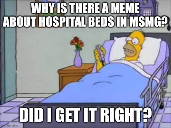 Homer Hospital Bed | WHY IS THERE A MEME ABOUT HOSPITAL BEDS IN MSMG? DID I GET IT RIGHT? | image tagged in homer hospital bed | made w/ Imgflip meme maker