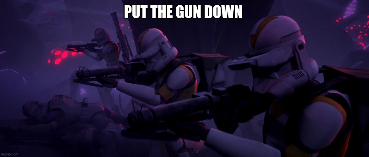 clone troopers | PUT THE GUN DOWN | image tagged in clone troopers | made w/ Imgflip meme maker