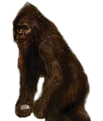 Florida Skunk Ape Meme Template