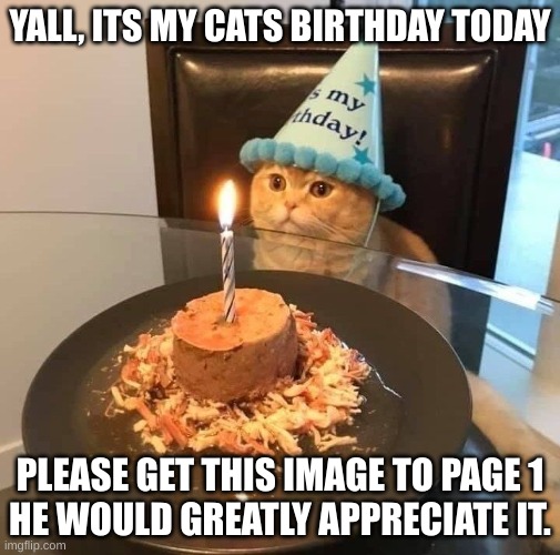 Pls get his to page 1, Shoutouts in comments | YALL, ITS MY CATS BIRTHDAY TODAY; PLEASE GET THIS IMAGE TO PAGE 1
HE WOULD GREATLY APPRECIATE IT. | image tagged in b-day,cat | made w/ Imgflip meme maker