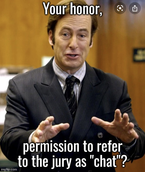 Your Honor, | Your honor, permission to refer to the jury as "chat"? | image tagged in your honor | made w/ Imgflip meme maker