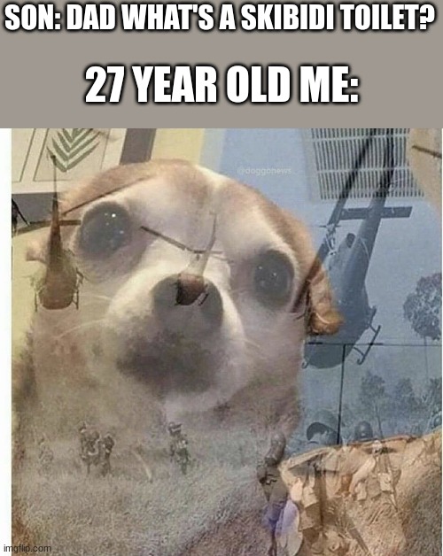 grjib agtrj fwaej9o | 27 YEAR OLD ME:; SON: DAD WHAT'S A SKIBIDI TOILET? | image tagged in ptsd chihuahua,memes,unfunny | made w/ Imgflip meme maker