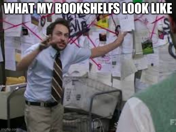 conspiracy theory | WHAT MY BOOKSHELFS LOOK LIKE | image tagged in conspiracy theory | made w/ Imgflip meme maker