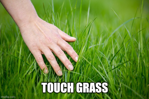 touch grass | TOUCH GRASS | image tagged in touch grass | made w/ Imgflip meme maker
