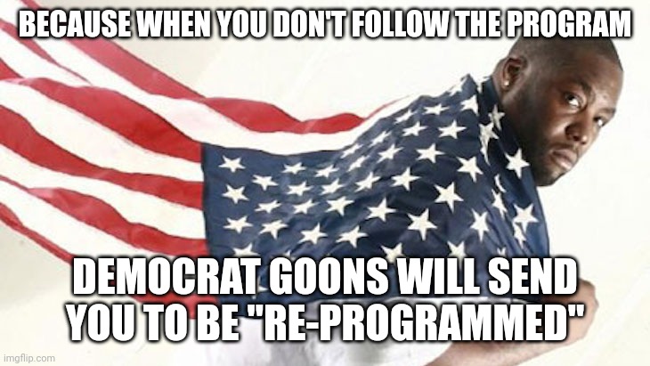 Trump 2024 | BECAUSE WHEN YOU DON'T FOLLOW THE PROGRAM; DEMOCRAT GOONS WILL SEND YOU TO BE "RE-PROGRAMMED" | image tagged in killer mike flag | made w/ Imgflip meme maker