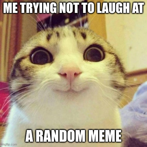 Cat | ME TRYING NOT TO LAUGH AT; A RANDOM MEME | image tagged in memes,smiling cat | made w/ Imgflip meme maker