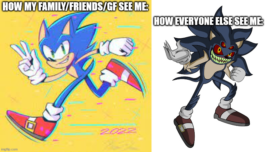 True fact | HOW EVERYONE ELSE SEE ME:; HOW MY FAMILY/FRIENDS/GF SEE ME: | image tagged in sonic,how i think i look | made w/ Imgflip meme maker
