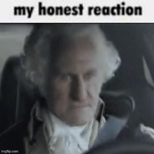 my honest reaction | image tagged in my honest reaction | made w/ Imgflip meme maker