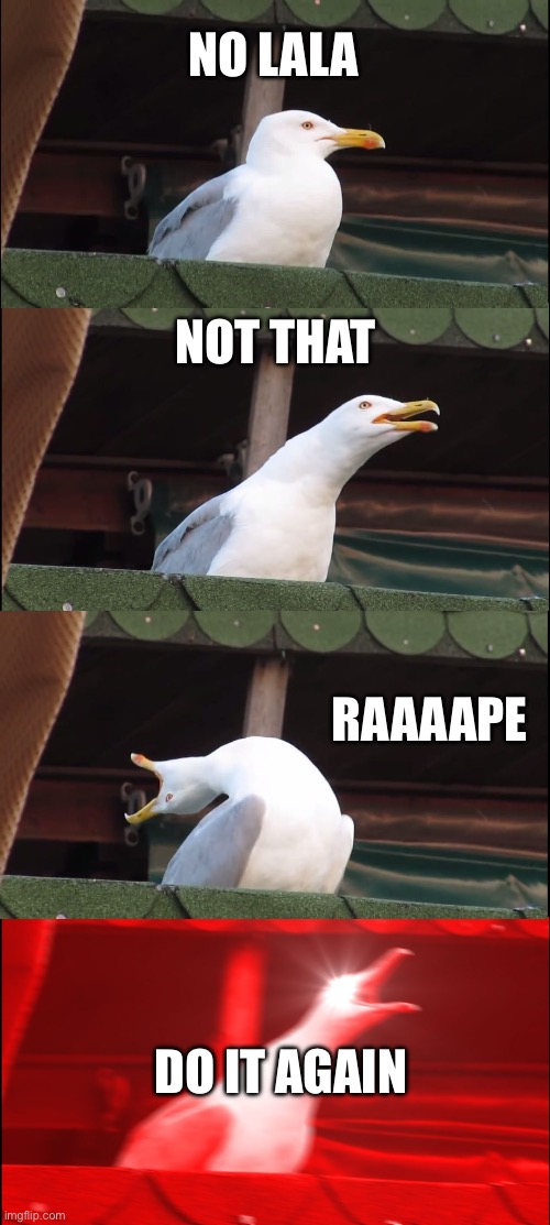 Inhaling Seagull | NO LALA; NOT THAT; RAAAAPE; DO IT AGAIN | image tagged in memes,inhaling seagull | made w/ Imgflip meme maker