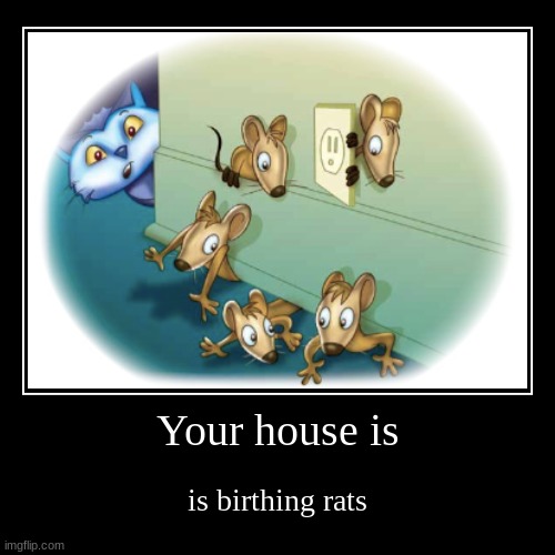 Your house is | is birthing rats | image tagged in no | made w/ Imgflip demotivational maker