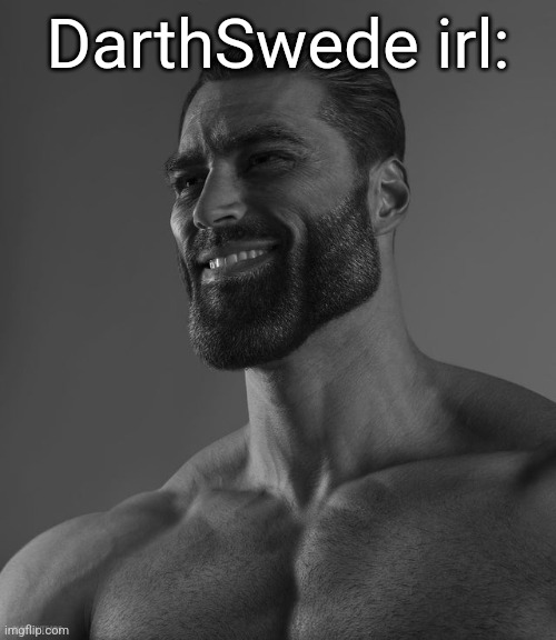 Also, can I have mod | DarthSwede irl: | image tagged in giga chad | made w/ Imgflip meme maker