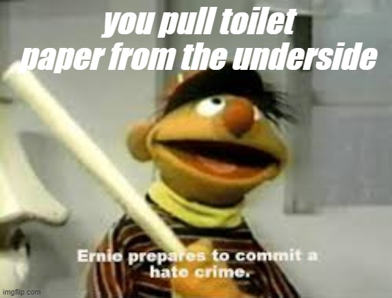 bruh this just makes me angy, if you do this ,comment and i assure you, you will get killed :) | you pull toilet paper from the underside | image tagged in ernie prepares to commit a hate crime | made w/ Imgflip meme maker