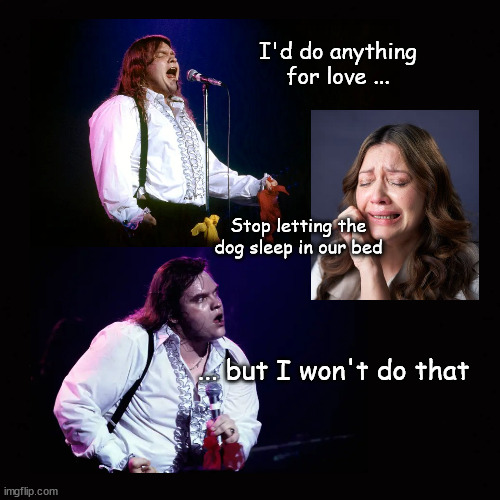 I would do anything for love... | I'd do anything
for love ... Stop letting the
dog sleep in our bed; ... but I won't do that | image tagged in meatloaf | made w/ Imgflip meme maker