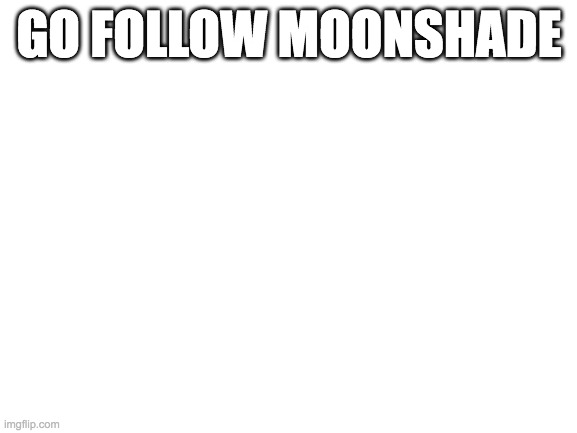 Blank White Template | GO FOLLOW MOONSHADE | image tagged in blank white template | made w/ Imgflip meme maker