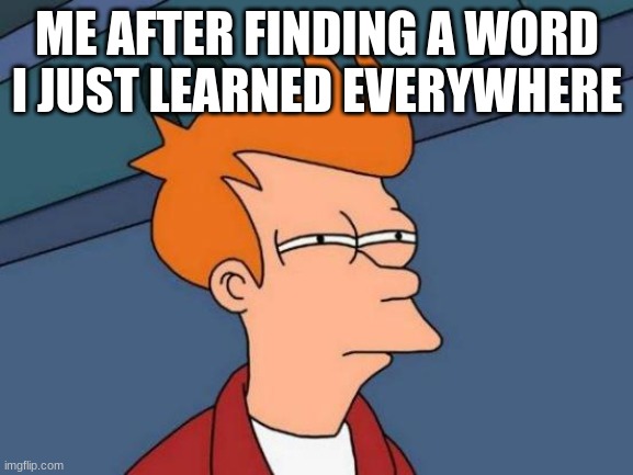 dude how does that work ;-; | ME AFTER FINDING A WORD I JUST LEARNED EVERYWHERE | image tagged in memes,futurama fry | made w/ Imgflip meme maker