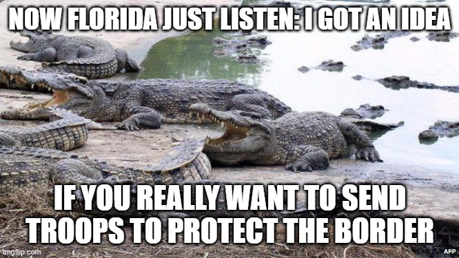 Florida Border Wall Protection | NOW FLORIDA JUST LISTEN: I GOT AN IDEA; IF YOU REALLY WANT TO SEND TROOPS TO PROTECT THE BORDER | image tagged in illegal immigration,illegal immigrants,border wall,fjb,florida,maga | made w/ Imgflip meme maker