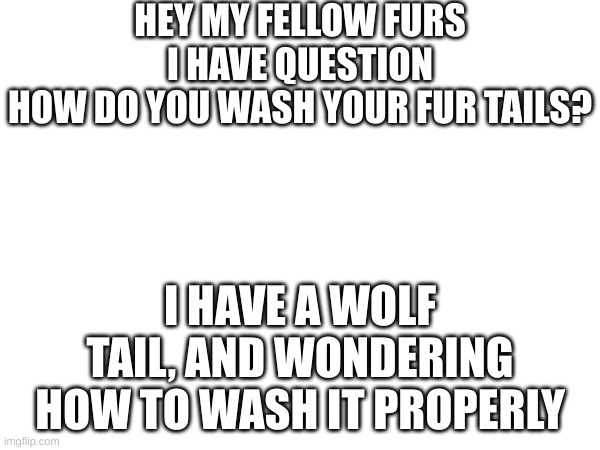 HEY MY FELLOW FURS
I HAVE QUESTION
HOW DO YOU WASH YOUR FUR TAILS? I HAVE A WOLF TAIL, AND WONDERING HOW TO WASH IT PROPERLY | image tagged in furry | made w/ Imgflip meme maker