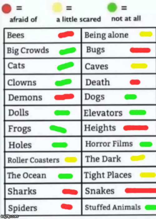 Things to be afraid of lol | image tagged in things to be afraid of lol | made w/ Imgflip meme maker
