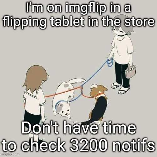 Helo | I'm on imgflip in a flipping tablet in the store; Don't have time to check 3200 notifs | image tagged in avogado6 | made w/ Imgflip meme maker