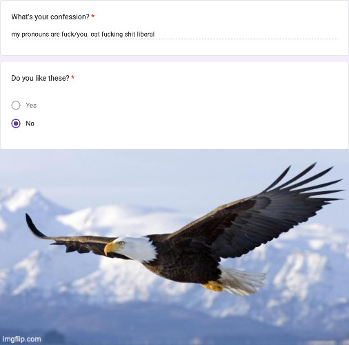 https://forms.gle/qJpqnYVDt2iWUVbs8 | image tagged in eagle | made w/ Imgflip meme maker