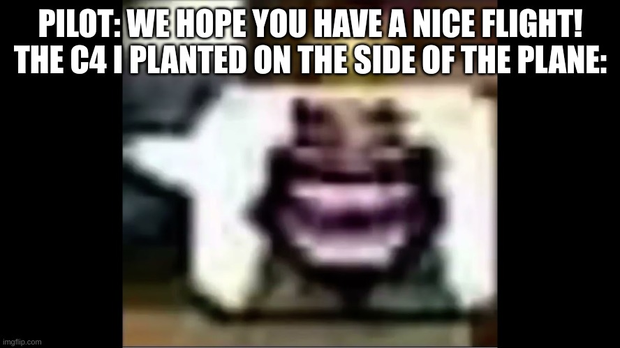 hehehaw | PILOT: WE HOPE YOU HAVE A NICE FLIGHT!
THE C4 I PLANTED ON THE SIDE OF THE PLANE: | image tagged in hehehaw | made w/ Imgflip meme maker