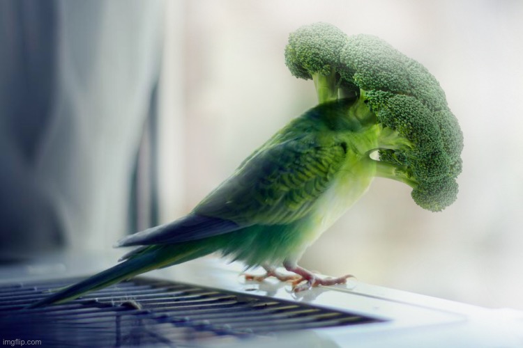 (Holy music) | made w/ Imgflip meme maker