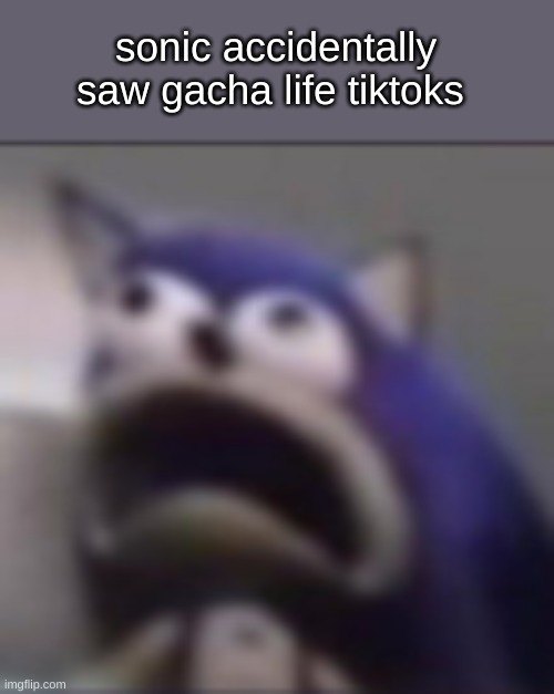 noooo ? | sonic accidentally saw gacha life tiktoks | image tagged in distress | made w/ Imgflip meme maker