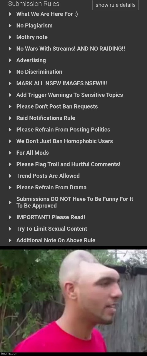 cringey braindead ass rules | image tagged in dent head man | made w/ Imgflip meme maker