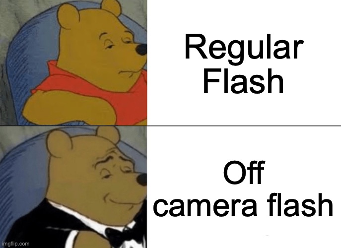 Photography memes | Regular Flash; Off camera flash | image tagged in memes,tuxedo winnie the pooh | made w/ Imgflip meme maker