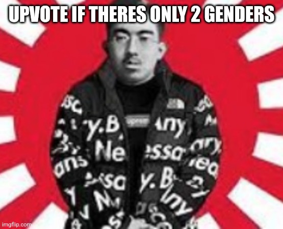 imperial japan drip | UPVOTE IF THERES ONLY 2 GENDERS | image tagged in imperial japan drip | made w/ Imgflip meme maker