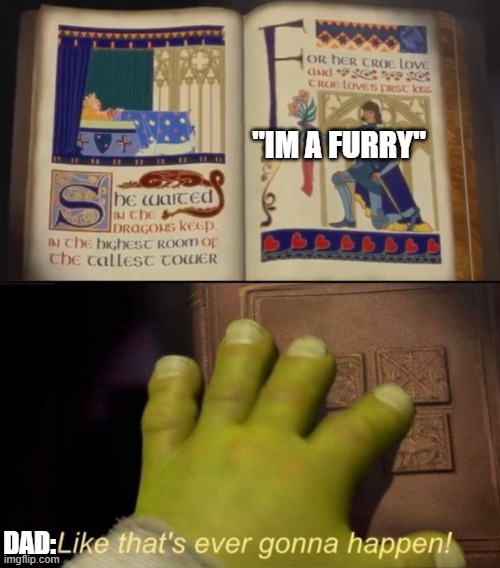 Shrek ever gonna happen | "IM A FURRY"; DAD: | image tagged in shrek ever gonna happen | made w/ Imgflip meme maker